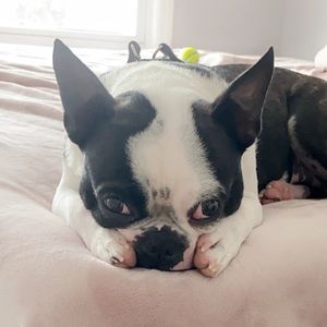 Meet your Posher, Fred